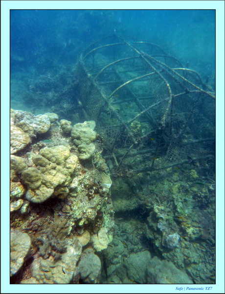 2011 - 03 - Koh Ngai 110